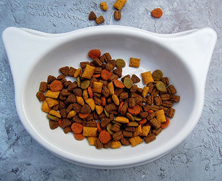 Dog Food
