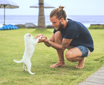 Pet